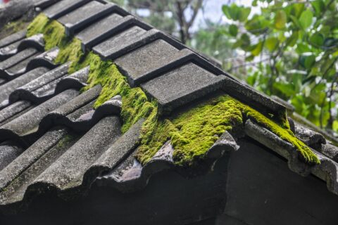 Roof Moss Removal in Wokingham RG40-RG41